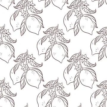 Seamless pattern with line art style lemon, leaf and flower. Perfect for fabric Stockillustratie