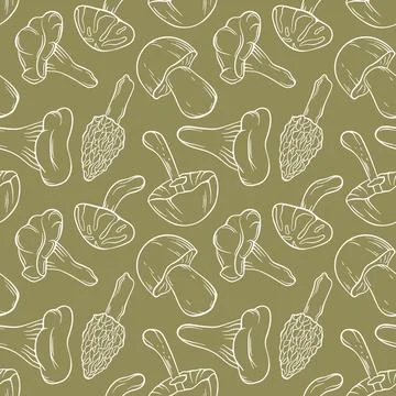 Seamless pattern of line art style mushroom on green background. Boletus Stock Illustration