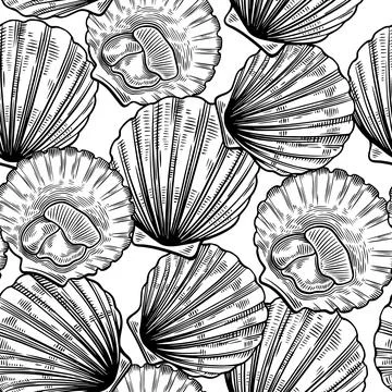 Seamless pattern in line art vintage style with scallops. Sea food texture for 스톡 일러스트