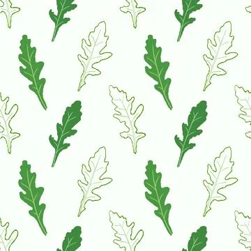 Seamless pattern line arugula. Vector painted. Illustration superfood on white b Stock Illustration