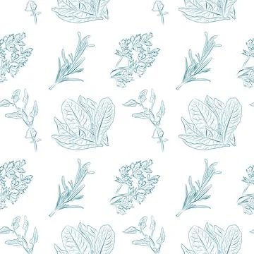 A seamless pattern of line drawings depicting herbs and lettuce leaves. Stock Illustration
