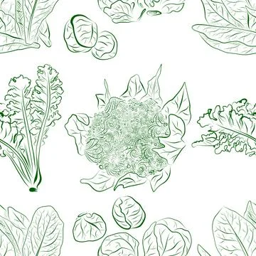 Seamless pattern of line drawings featuring cauliflower, broccoli, and lettuce Stockillustratie