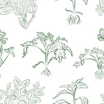 A seamless pattern of line drawings featuring a set of plants with roots Stock Illustration