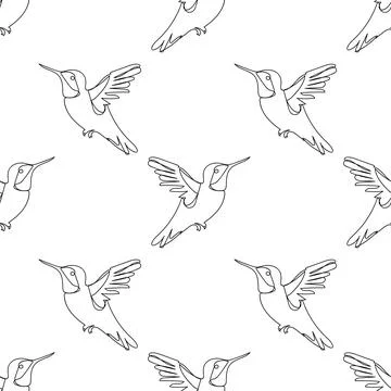 Seamless pattern, line hummingbird, white background, line drawing, for fab.. Stock Illustration