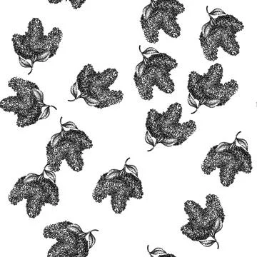 Seamless pattern line lilac sketch hand drawn Illustrazione stock