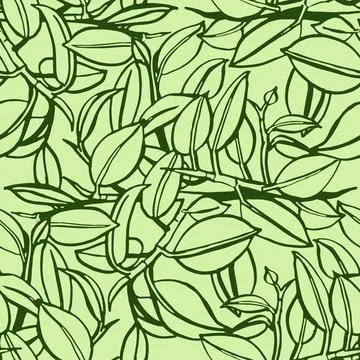 Seamless pattern linear drawing ficus Stock Illustration