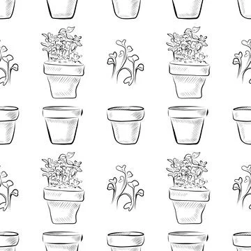 Seamless pattern of linear drawings of a pot with sprouts and peas. Minimalistic Illustrazione stock