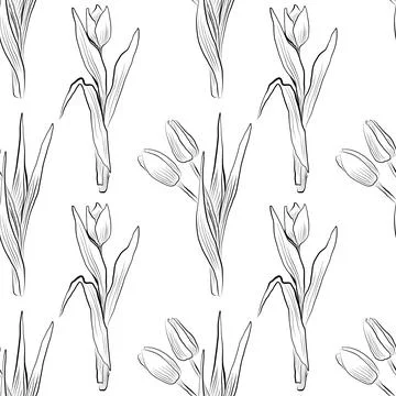 Seamless pattern of linear drawings of tulip flowers. Minimalistic illustration. 스톡 일러스트