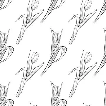 Seamless pattern of linear drawings of tulip flowers. Minimalistic illustration. Illustrazione stock