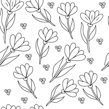 Seamless pattern - linear flowers on a white background, vector graphics. For Stock Illustration