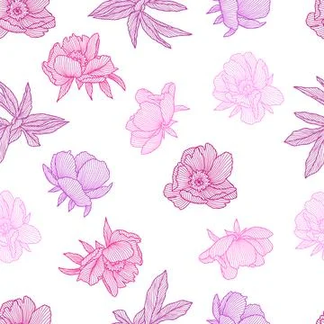 Seamless pattern with linear peonies. 스톡 일러스트