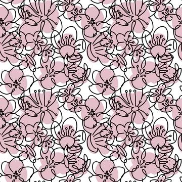 Seamless pattern with linear silhouettes of pink cherry flowers on a white Stock Illustration