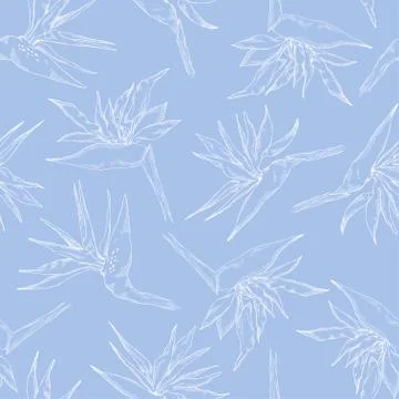 Seamless pattern of linear strelitzia collection. Vector exotic flowers of a 스톡 일러스트