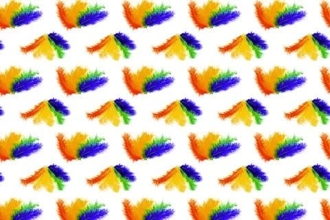 Seamless pattern of lined in rainbow colored bird feathers on a white backgro Foto stock