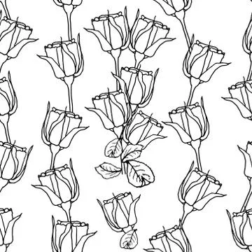 Seamless pattern with liner black roses on white. Vector illustration Stock Illustration