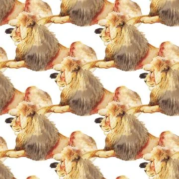 Seamless pattern with lion Stock Illustration