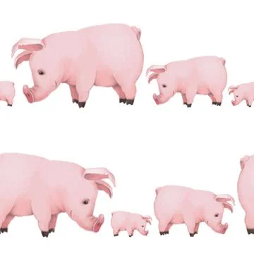 Seamless pattern with little cute piglets on white background. pig family Stock Illustration
