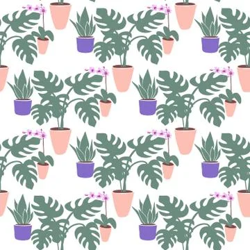 Seamless pattern with llustration a home plants on a white background Stock Illustration