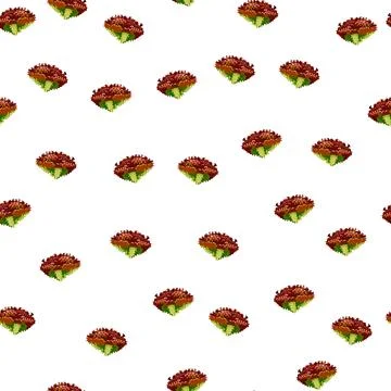 Seamless pattern lola rosa salad on white background. minimalism ornament wit Stock Illustration