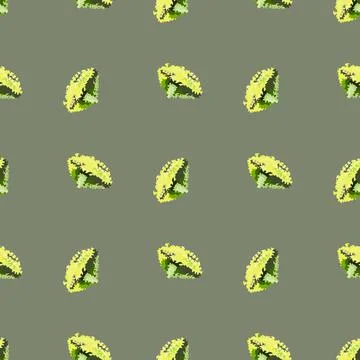Seamless pattern lola rosa salad on green background. Modern ornament with le Stock Illustration