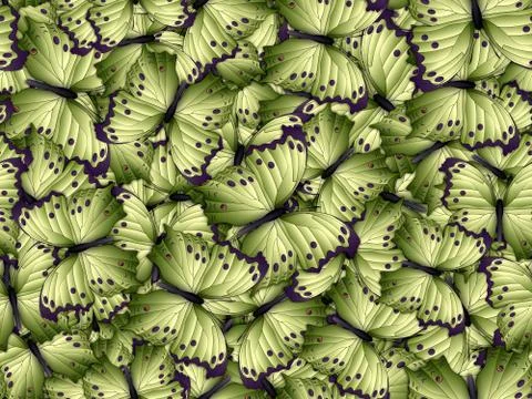 Seamless pattern with lot of different butterflys Illustrazione stock
