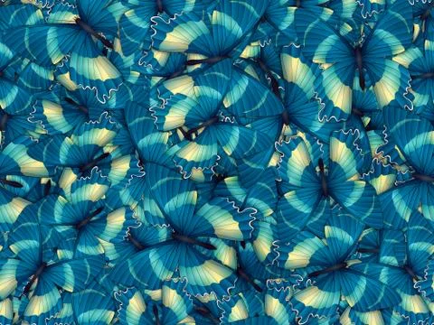 Seamless pattern with lot of different butterflys 스톡 일러스트