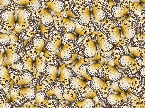 Seamless pattern with lot of different butterflys Illustrazione stock