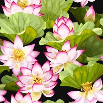 Seamless pattern with lotus flowers Stock Illustration