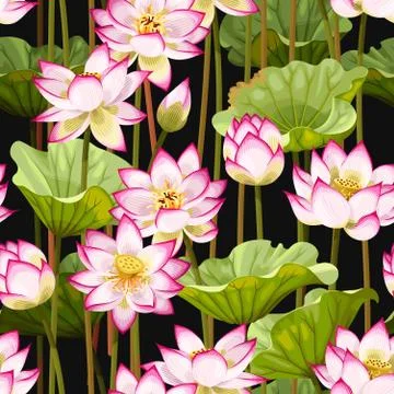 Seamless pattern with lotus flowers Stock Illustration