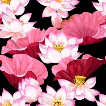Seamless pattern with lotus flowers Stock Illustration