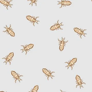 Seamless pattern Louse insect parasite medical isolated 스톡 일러스트