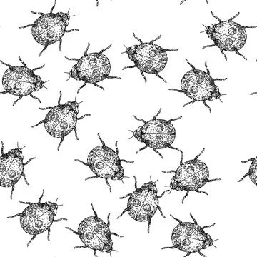 Seamless pattern love ladybug sketch hand drawn Stock Illustration