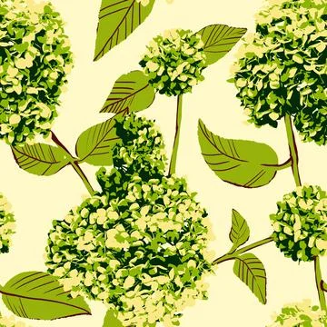 Seamless pattern lush hydrangeas with leaves shades of green Stock Illustration