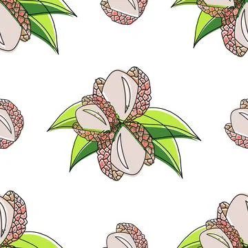 Seamless pattern with lychee and leaves on a white background. Stock Illustration