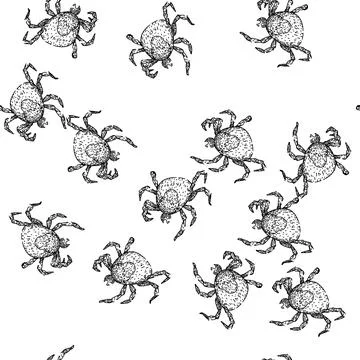 Seamless pattern lyme tick sketch hand drawn Illustrazione stock