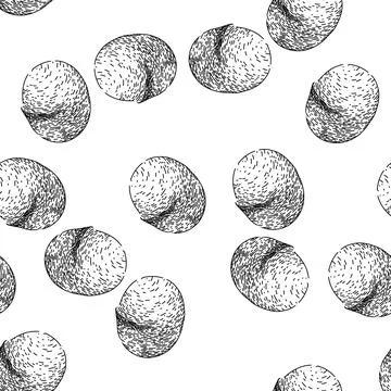 Seamless pattern macadamia nut crack sketch hand drawn Stock Illustration