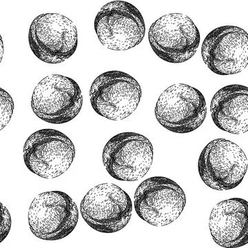 Seamless pattern macadamia nut food sketch hand drawn Stock Illustration