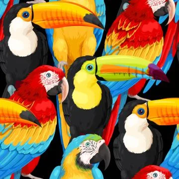 Seamless pattern macaws and toucans Stock Illustration