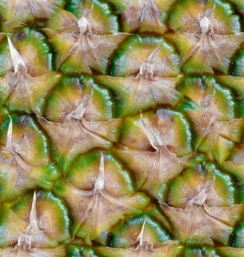 Seamless pattern made from colorful pineapple. background texture Foto stock