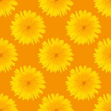 Seamless pattern made from dandelion yellow flowers on orange background. Stock Photos