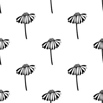Seamless pattern made from doodle chamomile flowers. Isolated on white backgr Stock Illustration