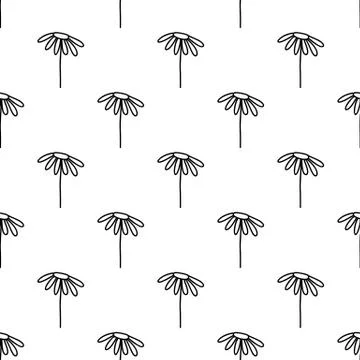 Seamless pattern made from doodle chamomile flowers. Isolated on white backgr Stock Illustration