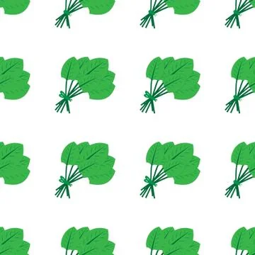 Seamless pattern made from flat green doodle bunch of spinach. Isolated on wh Stock Illustration