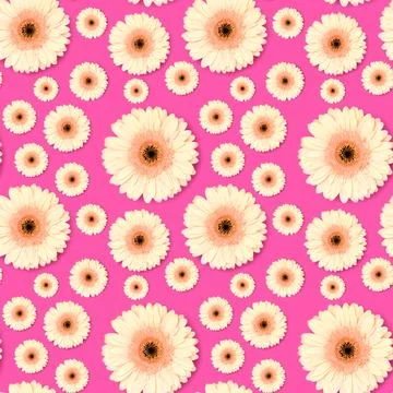 Seamless pattern made of gerbera flower. Stock Photos