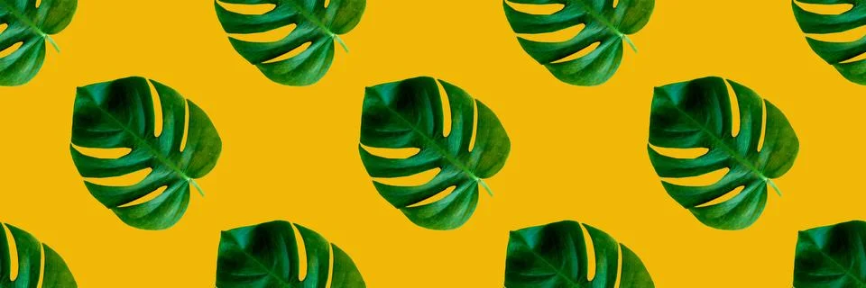 Seamless Pattern made with Tropical green leaves monstera on yellow backgroun Stock Illustration