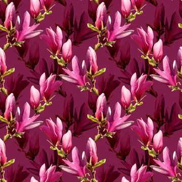 Seamless pattern with magnolia on a pink background. Floral romantic collage Stock Photos
