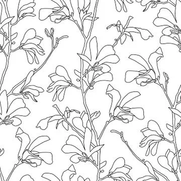 Seamless pattern with magnolia tree blossom. Floral background with branch and 스톡 일러스트