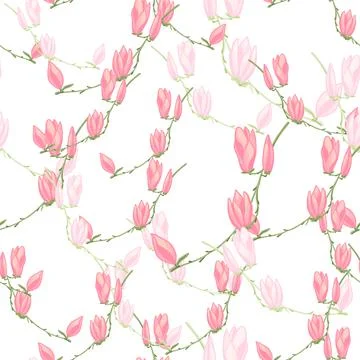 Seamless pattern Magnolias on white background. Beautiful texture with spring Stock Illustration