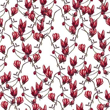 Seamless pattern Magnolias on white background. Beautiful texture with spring Stock Illustration