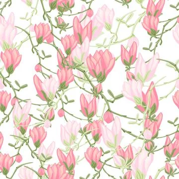 Seamless pattern Magnolias on white background. Beautiful texture with spring Stock Illustration